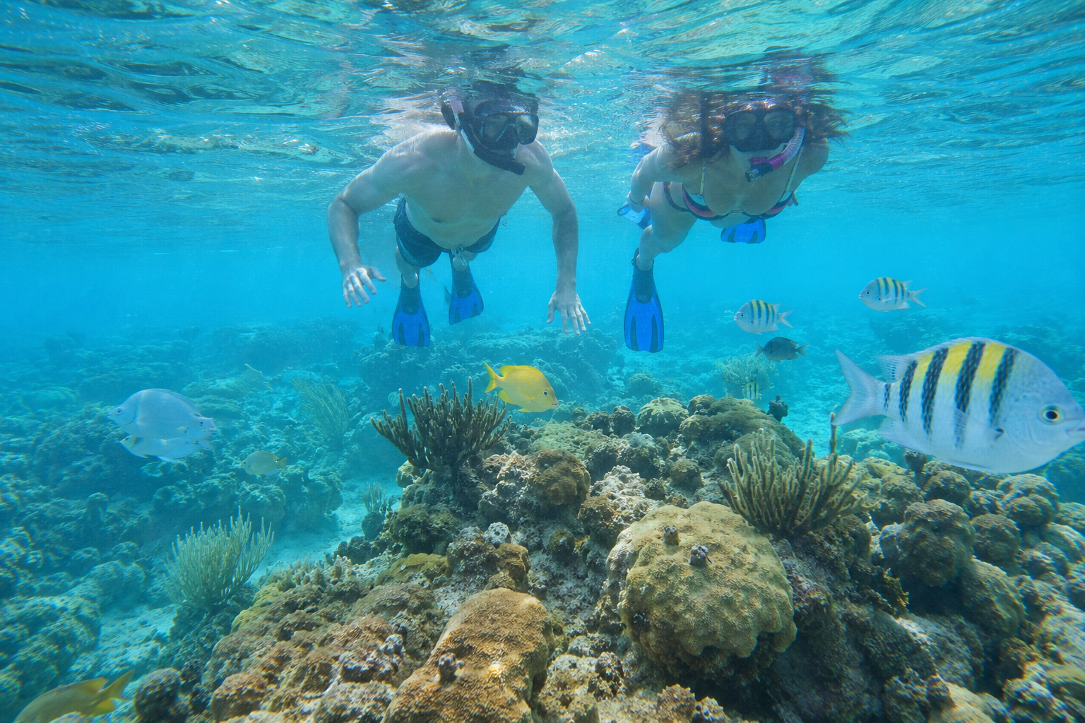 coral reef
